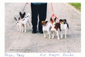Enlarge photo 16