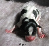 Enlarge photo 35