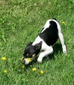 Enlarge photo 8