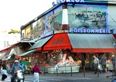 Enlarge photo 16
