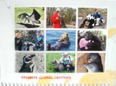 Enlarge photo 16