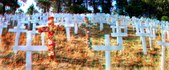 Enlarge photo 1