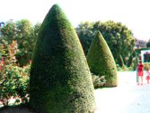 Enlarge photo 19