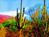Enlarge photo 17