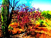 Enlarge photo 18