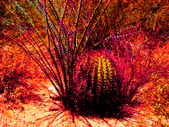 Enlarge photo 14