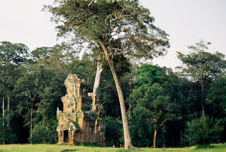 Enlarge photo 15