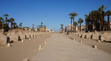 Enlarge photo 76