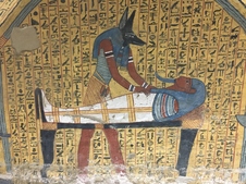 Enlarge photo 72