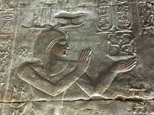 Enlarge photo 55