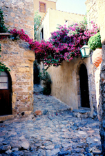 Enlarge photo 14