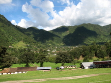 Enlarge photo 30