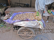 Enlarge photo 80
