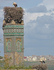 Enlarge photo 109