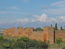 Enlarge photo 112