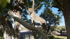 Enlarge photo 33