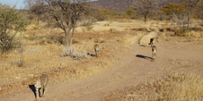 Enlarge photo 39