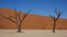 Enlarge photo 56