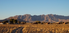 Enlarge photo 50