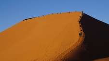 Enlarge photo 61