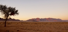 Enlarge photo 52