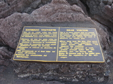 Enlarge photo 73