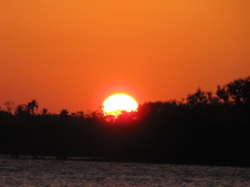 Enlarge photo 72