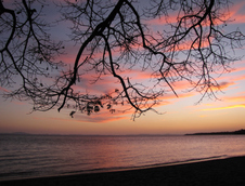 Enlarge photo 71