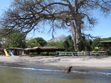 Enlarge photo 64