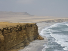 Enlarge photo 81