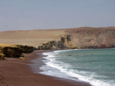 Enlarge photo 83