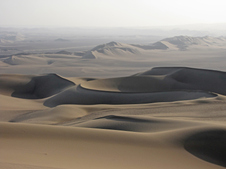 Enlarge photo 93