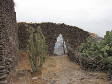 Enlarge photo 127