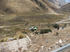 Enlarge photo 137
