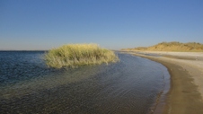Enlarge photo 67