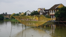 Enlarge photo 50