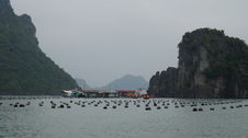 Enlarge photo 31