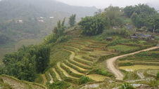 Enlarge photo 39