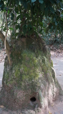 Enlarge photo 107