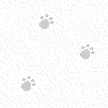Enlarge photo 126