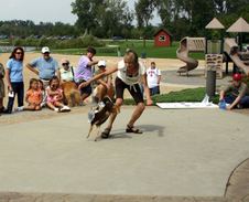 Enlarge photo 47