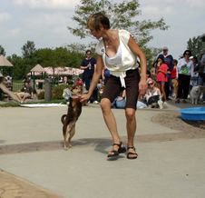 Enlarge photo 48