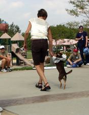 Enlarge photo 49