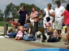 Enlarge photo 56