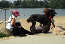 Enlarge photo 57