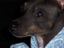 Enlarge photo 169