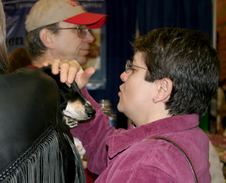 Enlarge photo 83