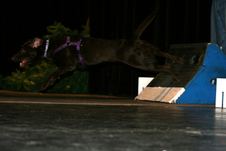 Enlarge photo 158