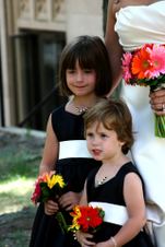 Enlarge photo 80