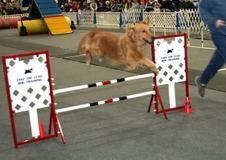 Enlarge photo 41